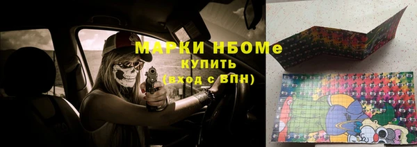 молекула духа Арсеньев