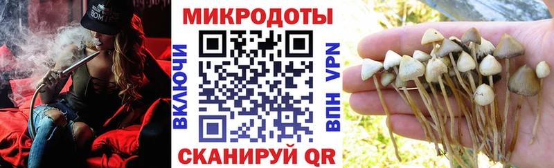 Галлюциногенные грибы мицелий  Баксан 