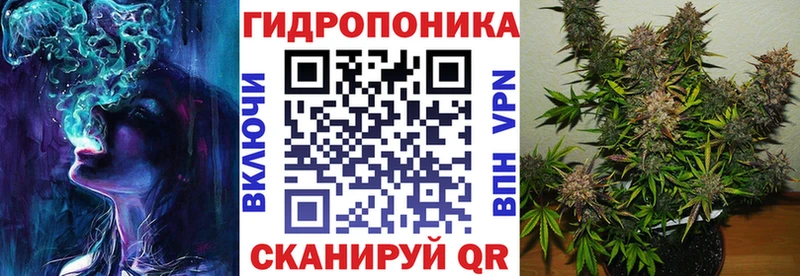 продажа наркотиков  Баксан  мориарти формула  Бошки марихуана White Widow 